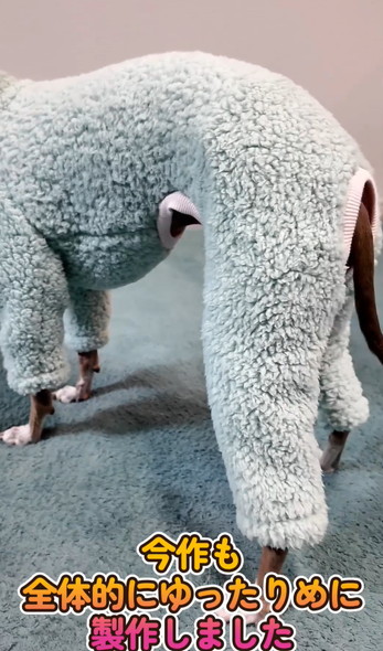 洋服を着るワンコ