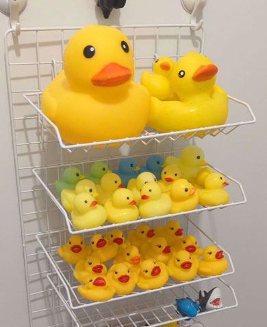 ずらっと並んだアヒル隊長