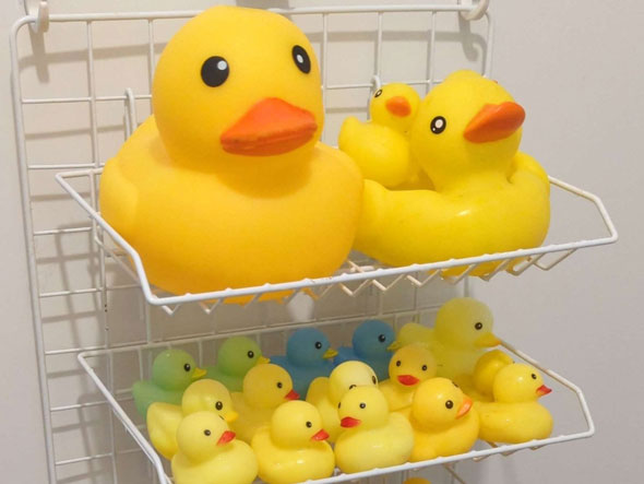 ずらっと並んだアヒル隊長・アップ