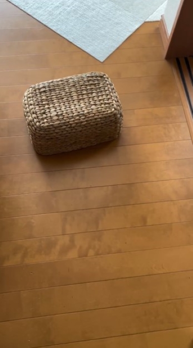 床の上を移動するかご