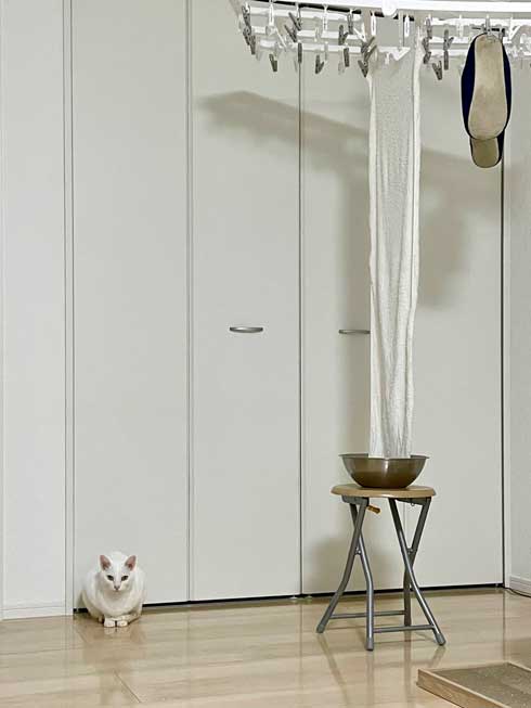 簡易 加湿 装置 アイデア タオル つるす 水を張ったボウル