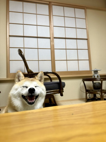 笑顔のワンコテーブル