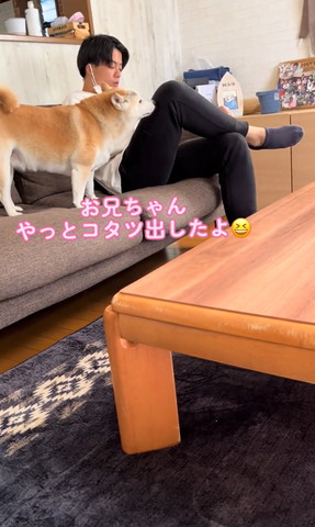 お兄ちゃんこたつ出したよ