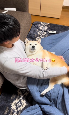 見れば分かるでしょ