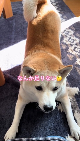 なんか足りない