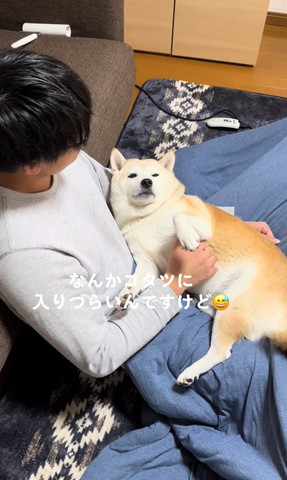 なんかコタツに入りづらいんですけど