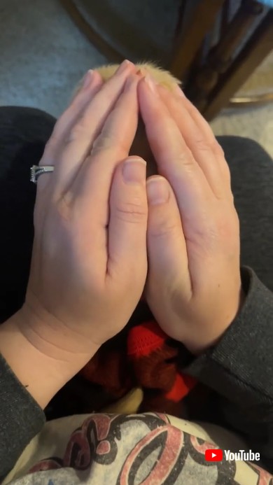 わが家のワンコを紹介します