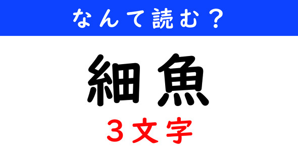 漢字クイズ　難読漢字　細魚（3文字）