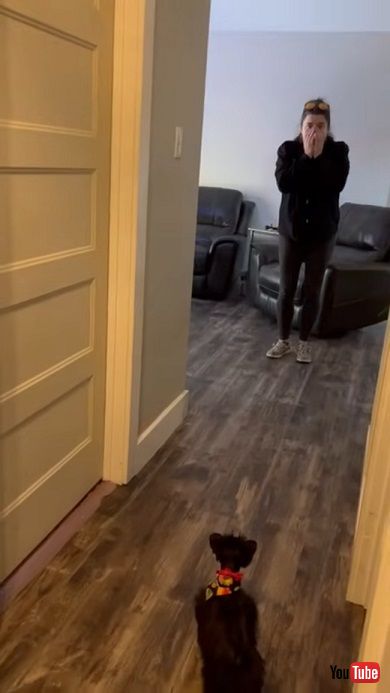 愛犬を失っためいにサプライズで新しい子犬を紹介