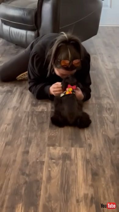 愛犬を失っためいにサプライズで新しい子犬を紹介