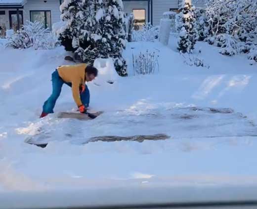 フィンランド あるある 雪で洗う 低温 マット ラグ 衣類 ダニ 退治 駆除 対策