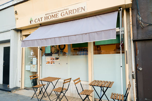 【PR】 ニトリ 猫も人もうれしい家具