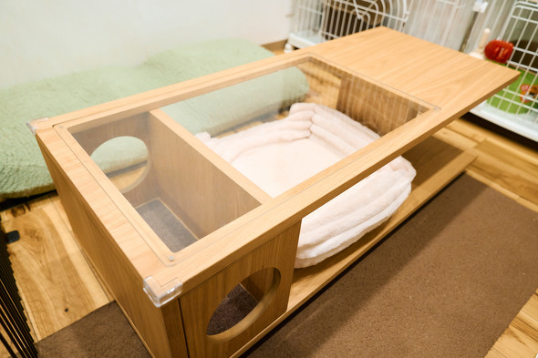 【PR】 ニトリ 猫も人もうれしい家具