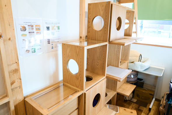 【PR】 ニトリ 猫も人もうれしい家具