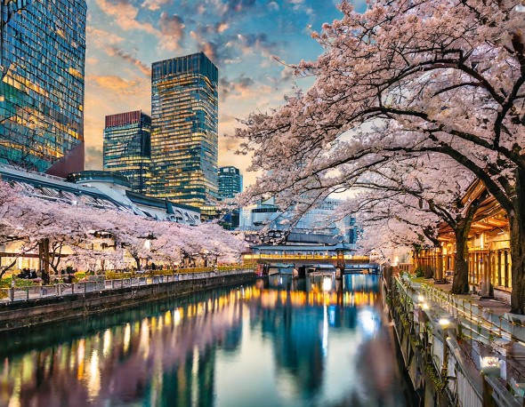 新宿駅 Adobe Firefly