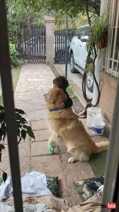 前足を負傷した犬を慰める男の子