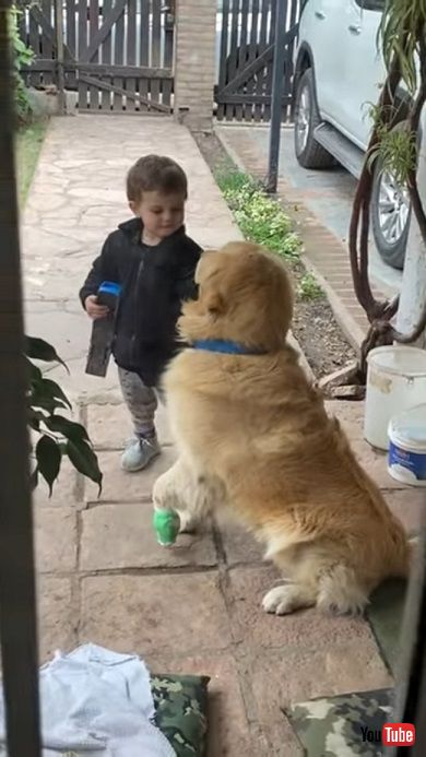 前足を負傷した犬を慰める男の子