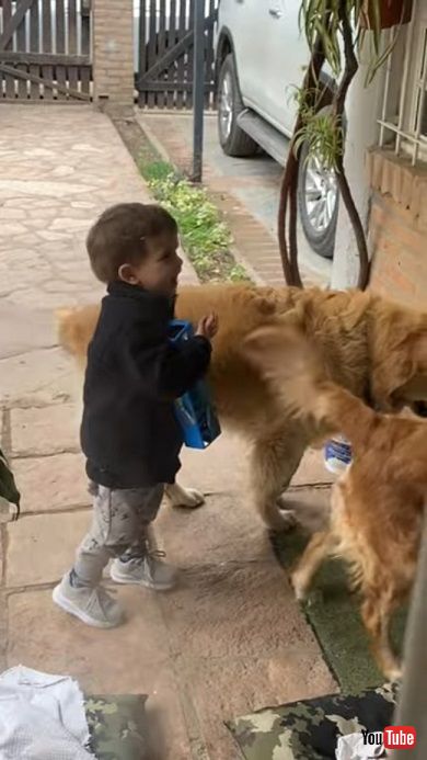 前足を負傷した犬を慰める男の子