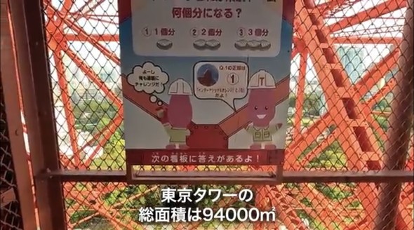 登っている様子