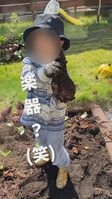 大きなさつまいもを持つ息子くん