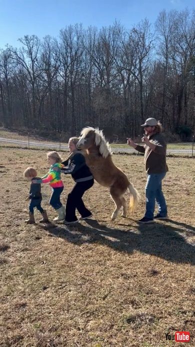 ミニホースと一緒にコンガを踊る家族
