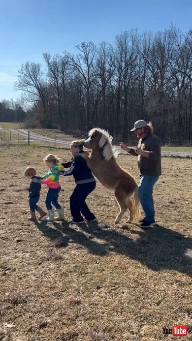 ミニホースと一緒にコンガを踊る家族