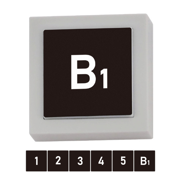 『絶対に押してはいけない「1000のボタン」』06