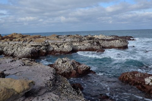 塩水プール 地震研