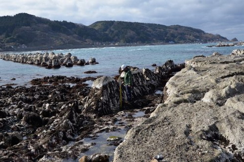 塩水プール 地震研