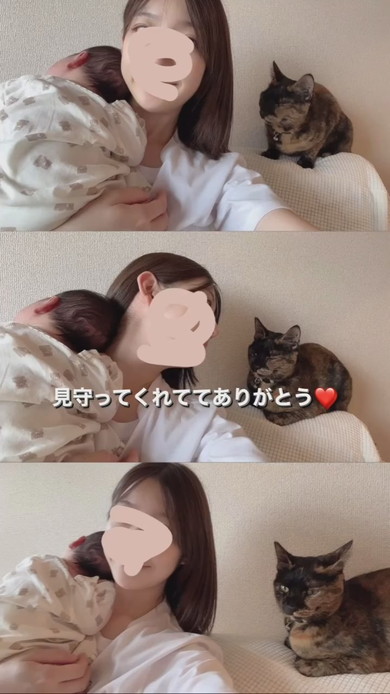 赤ちゃんを抱っこする飼い主さんに寄り添うサビ柄猫ちゃん