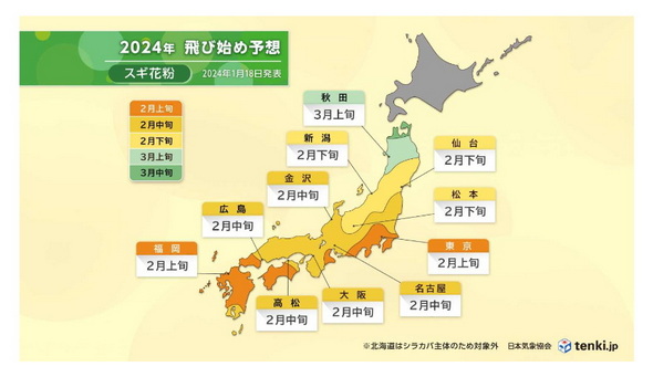 スギ花粉 飛散予測 2024年