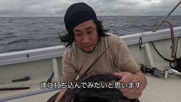 深海 巨大魚 毒針 生物 ウスエイ 尾 トゲ 毒棘 腕を刺されたら