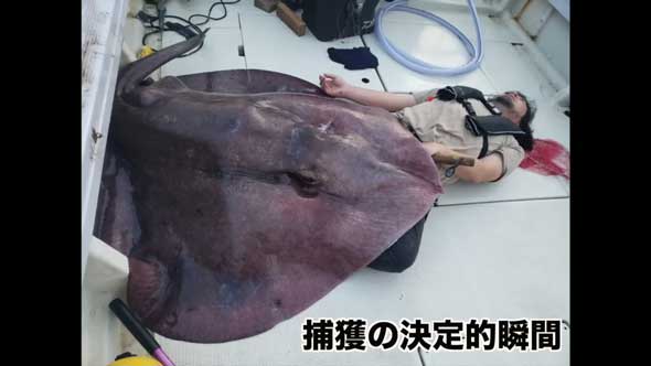 おすすめ