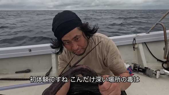 深海 巨大魚 毒針 生物 ウスエイ 尾 トゲ 毒棘 腕を刺されたら