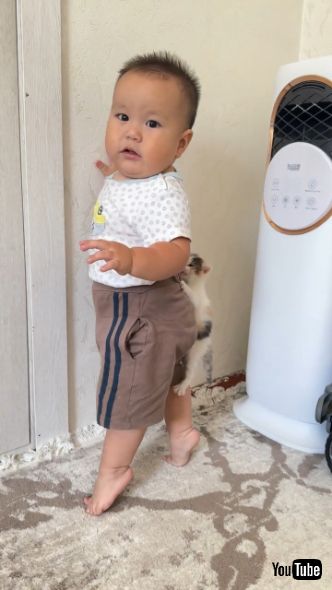 赤ちゃんにしがみついた子猫