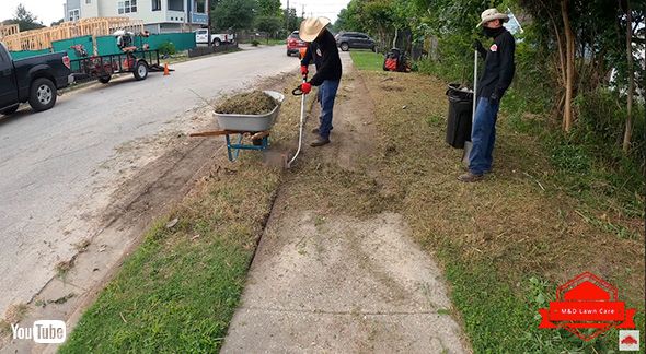 掃除 ボランティア 雑草
