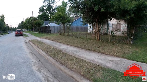 掃除 ボランティア 雑草