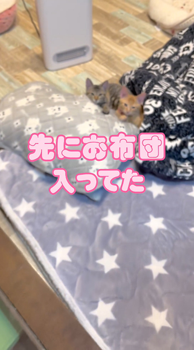 先にお布団入ってた