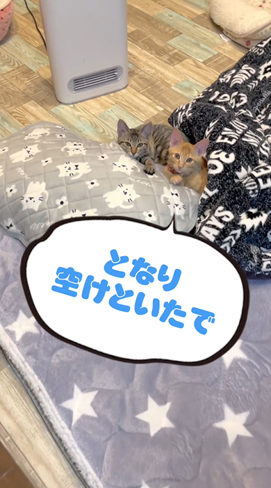 となり開けといた