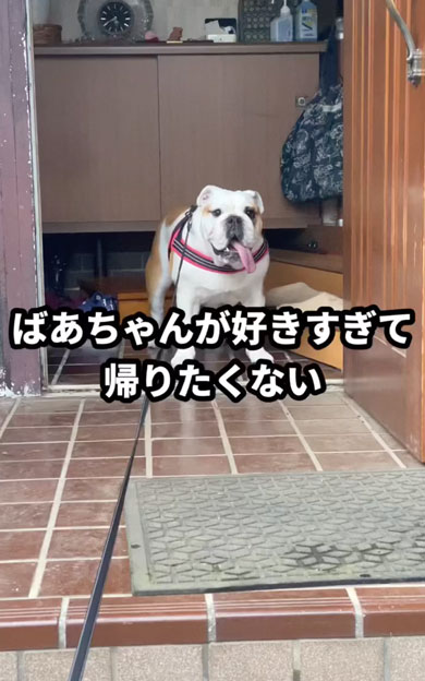 まだ帰りたくないワンコ