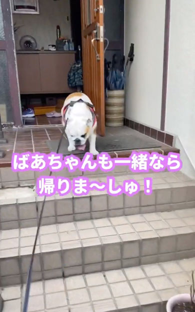 まだ帰りたくないワンコ