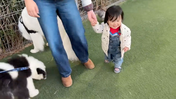 一緒にイタズラをする女の子とワンコ