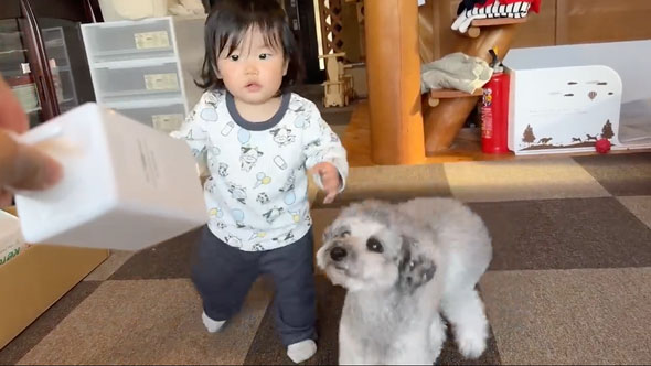 一緒にイタズラをする女の子とワンコ