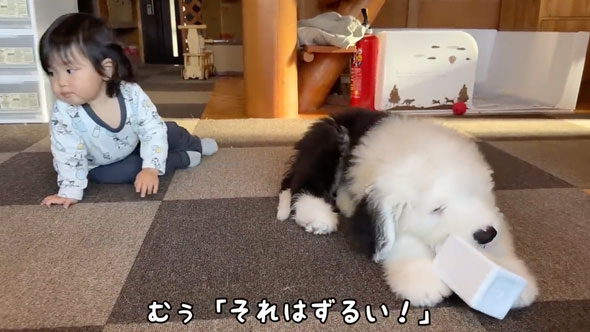 一緒にイタズラをする女の子とワンコ