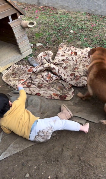 ワンコに立ち向かう男の子