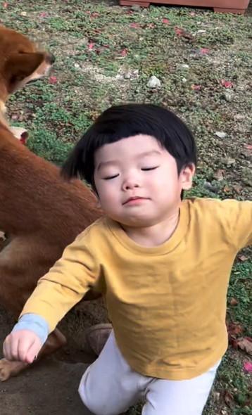 ワンコに立ち向かう男の子