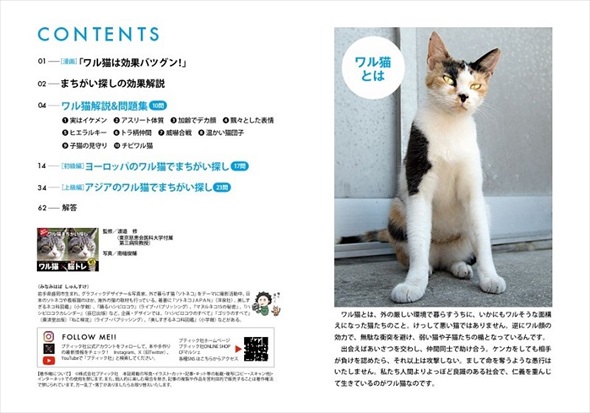 ワル猫まちがい探し