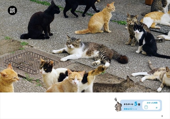 ワル猫まちがい探し