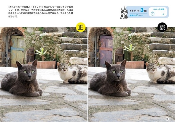 ワル猫まちがい探し