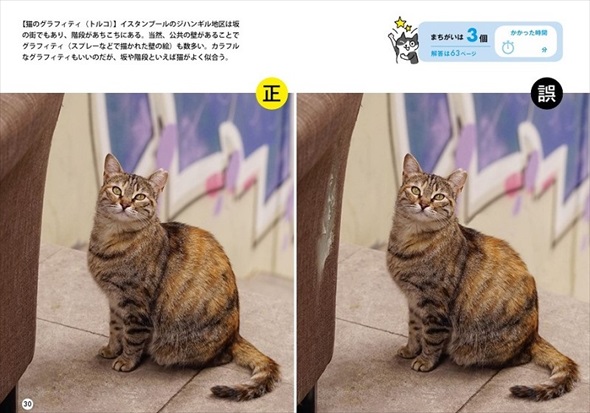 ワル猫まちがい探し